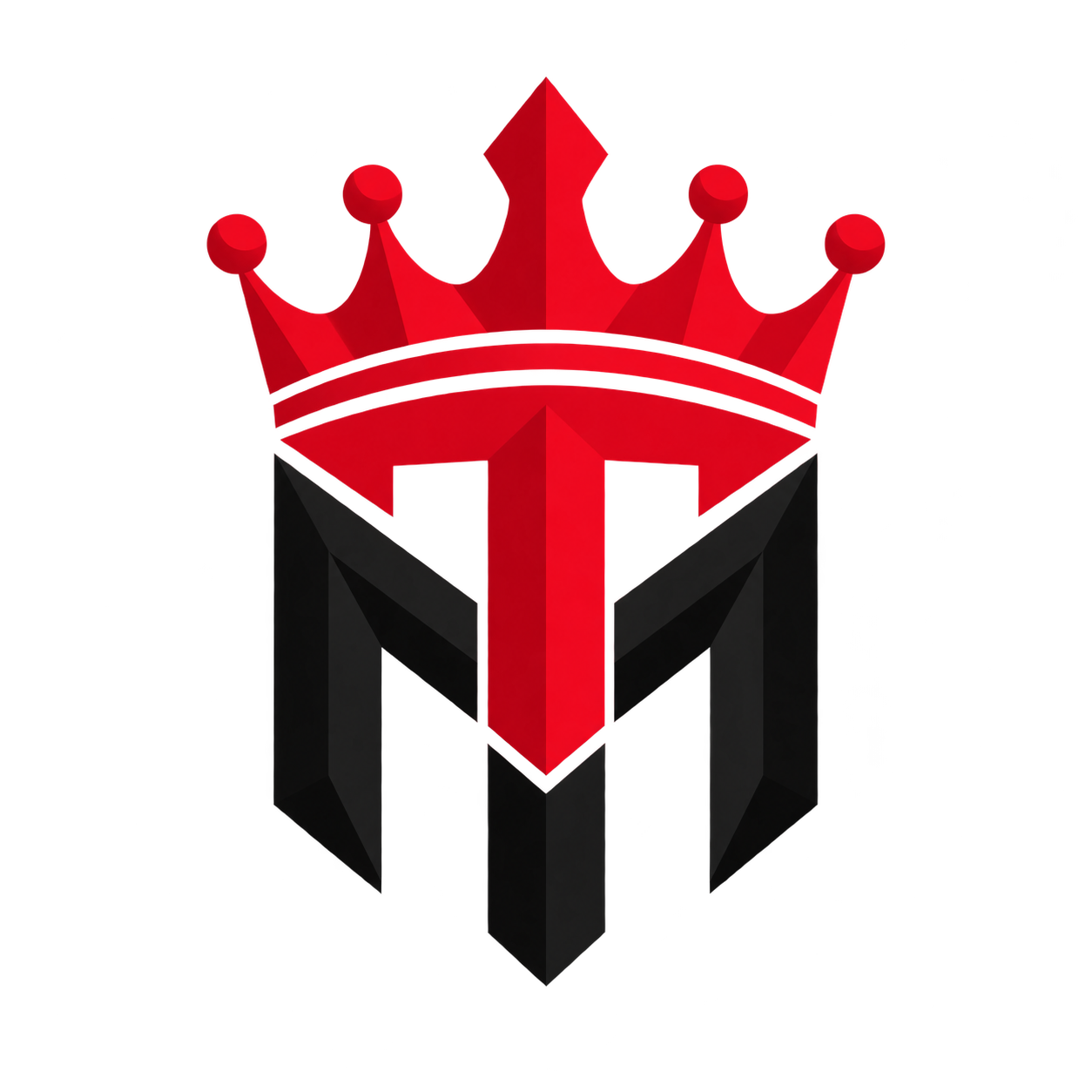 MT Techniques logo